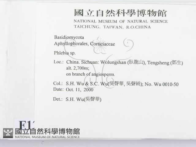 射脈菌屬藏品圖，第2張