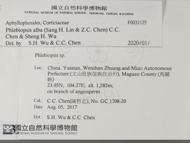 登錄號:F0032125藏品圖，第2張