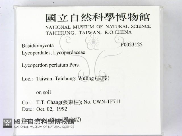 登錄號:F0023125藏品圖，第2張