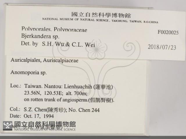登錄號:F0020025藏品圖，第2張