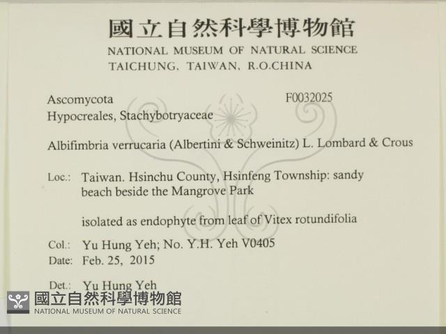 登錄號:F0032025藏品圖，第2張