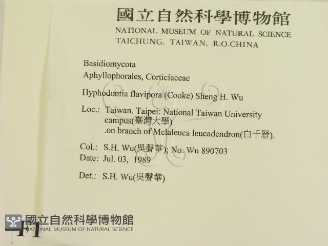 登錄號:F0010325藏品圖，第2張