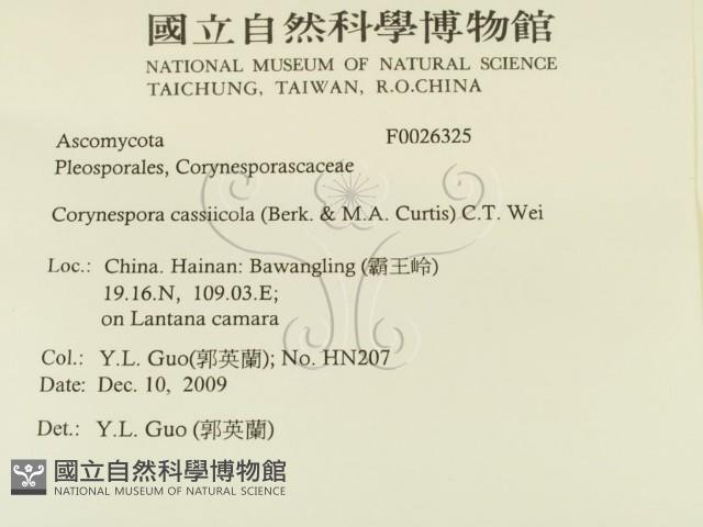 登錄號:F0026325藏品圖，第2張