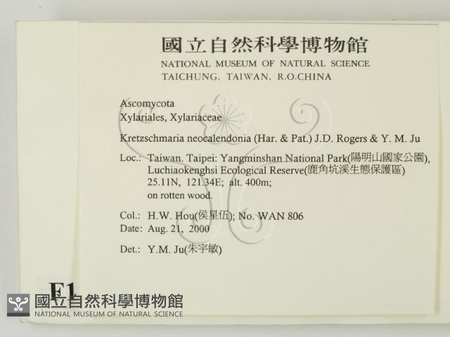 登錄號:F0011325藏品圖，第2張