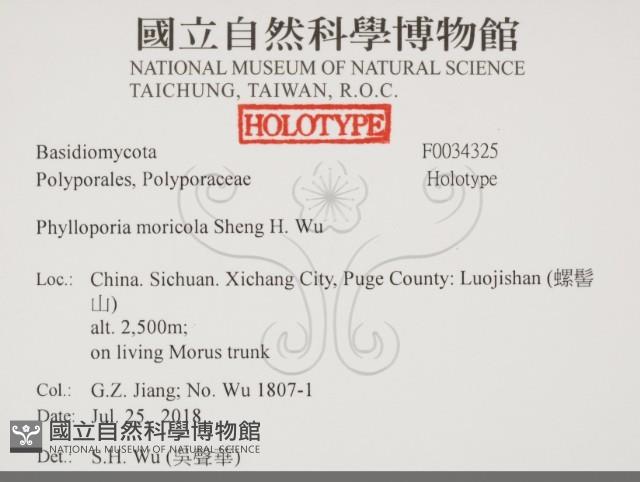 登錄號:F0034325藏品圖，第2張