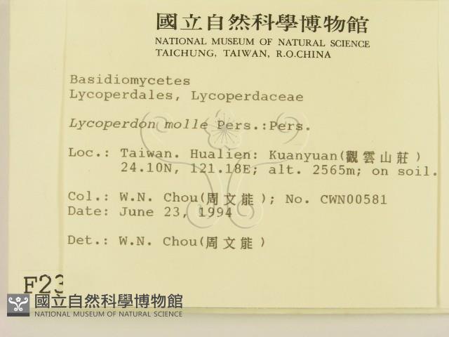 登錄號:F0002325藏品圖，第2張