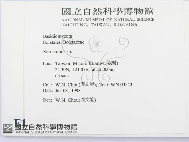 登錄號:F0012325藏品圖，第2張