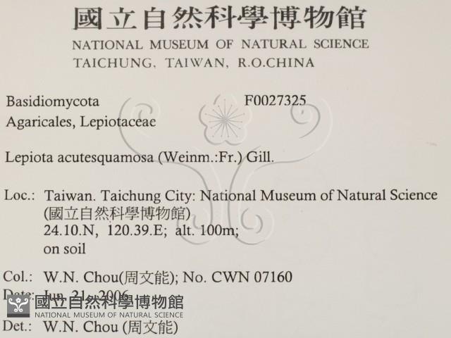 登錄號:F0027325藏品圖，第2張