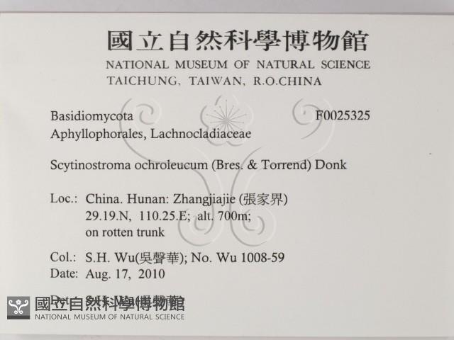 登錄號:F0025325藏品圖，第2張