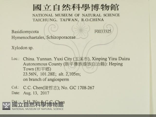 登錄號:F0033325藏品圖，第2張