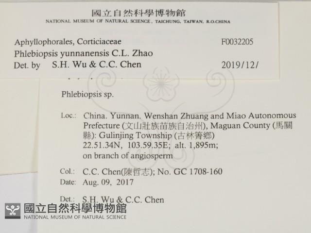 登錄號:F0032205藏品圖，第2張