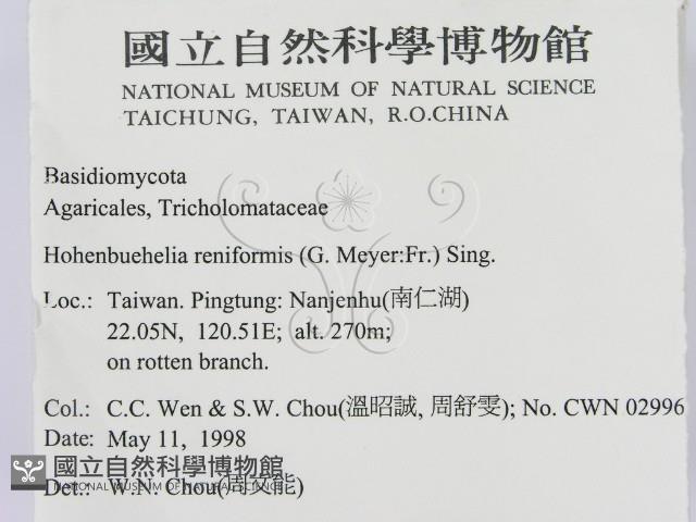 登錄號:F0010805藏品圖，第2張