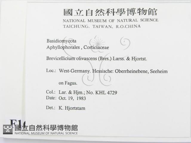 登錄號:F0016805藏品圖，第2張
