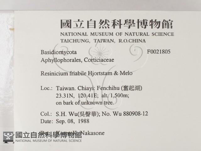 登錄號:F0021805藏品圖，第2張