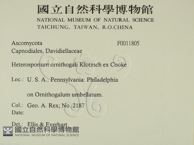 登錄號:F0011805藏品圖，第2張