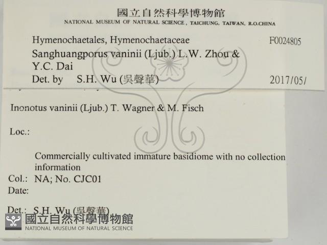 登錄號:F0024805藏品圖，第2張