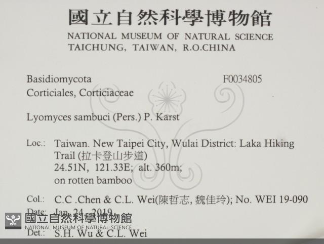 登錄號:F0034805藏品圖，第2張