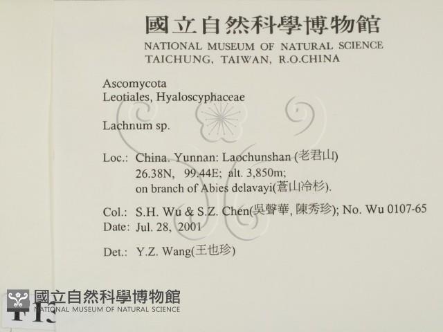 登錄號:F0013805藏品圖，第2張