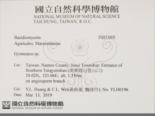 登錄號:F0033805藏品圖，第2張