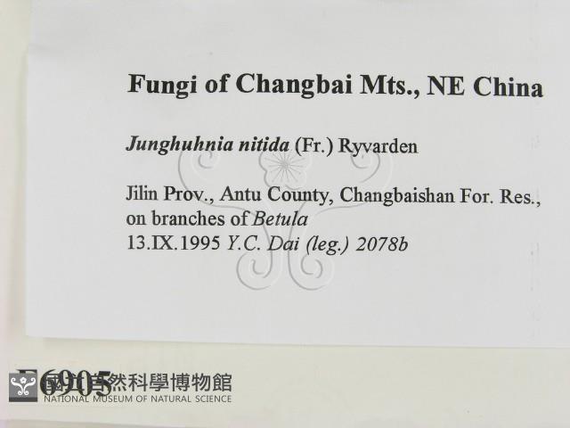 登錄號:F0006905藏品圖，第2張