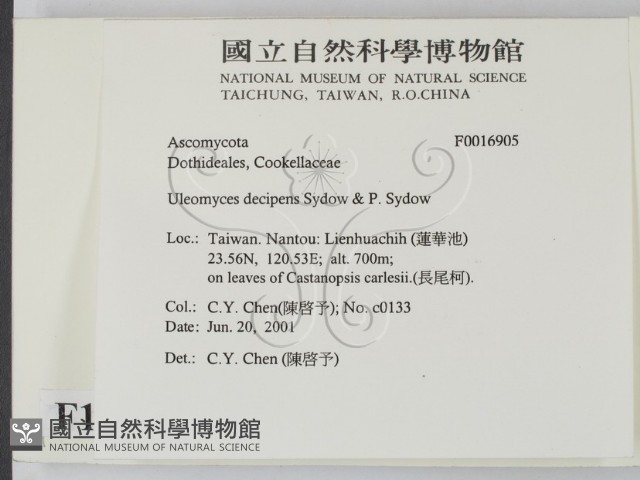 登錄號:F0016905藏品圖，第2張