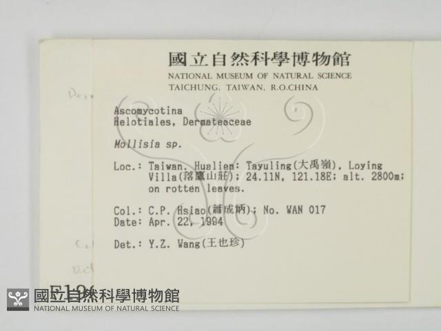 登錄號:F0001905藏品圖，第2張