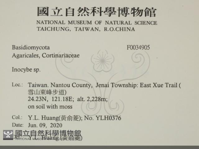 登錄號:F0034905藏品圖，第2張