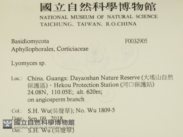 登錄號:F0032905藏品圖，第2張
