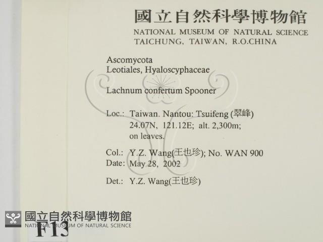 登錄號:F0013905藏品圖，第2張