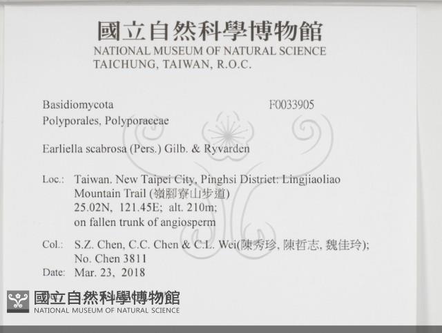 登錄號:F0033905藏品圖，第1張