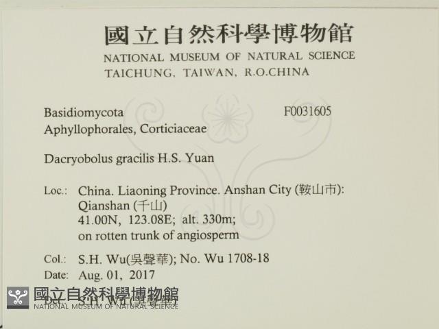 登錄號:F0031605藏品圖，第2張