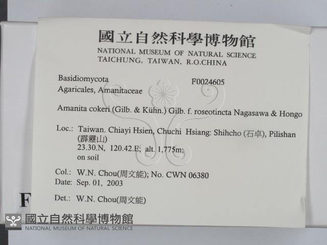 登錄號:F0024605藏品圖，第2張