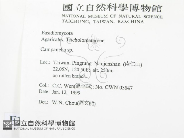 登錄號:F0012605藏品圖，第2張