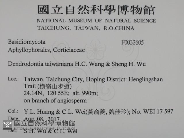 登錄號:F0032605藏品圖，第2張