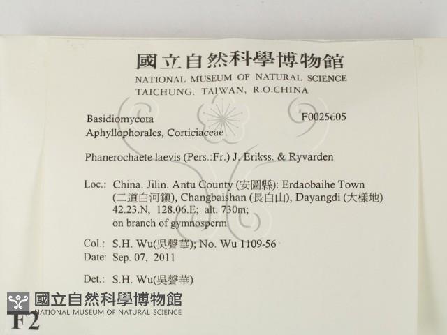 登錄號:F0025605藏品圖，第2張