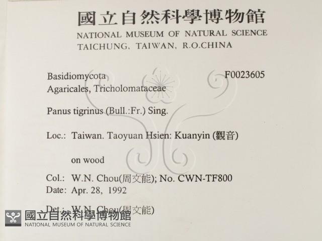 登錄號:F0023605藏品圖，第2張