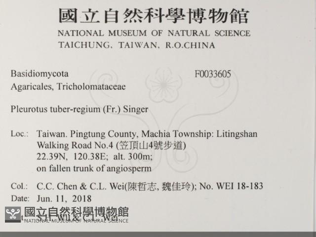 登錄號:F0033605藏品圖，第2張