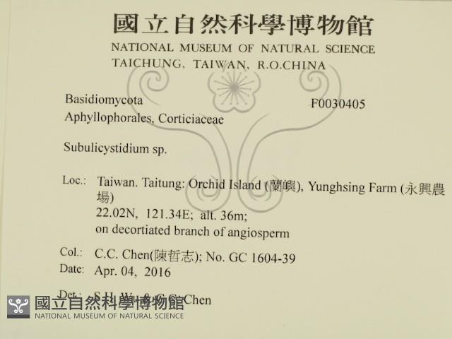 登錄號:F0030405藏品圖，第2張