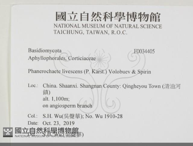 登錄號:F0034405藏品圖，第2張