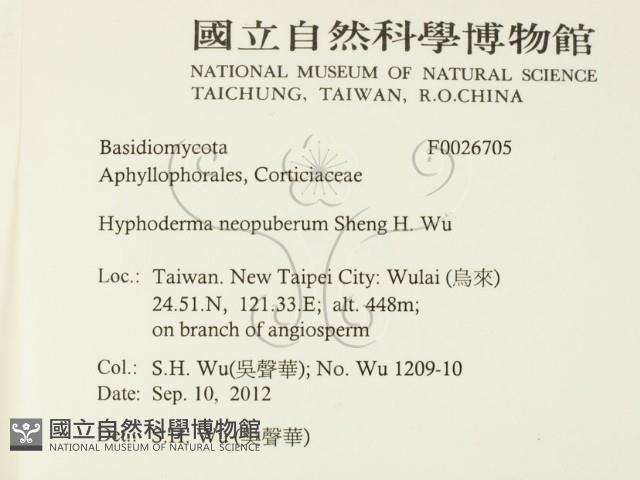 登錄號:F0026705藏品圖，第2張