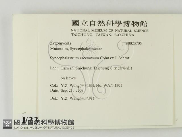 登錄號:F0023705藏品圖，第2張