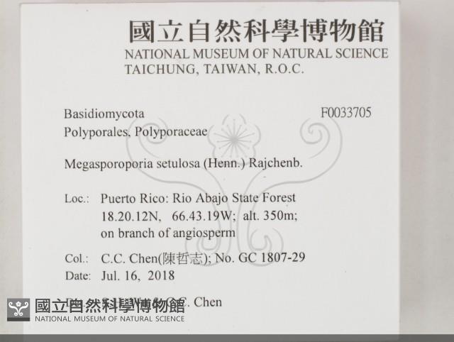 登錄號:F0033705藏品圖，第2張