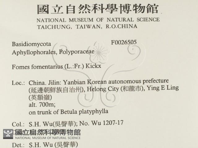 登錄號:F0026505藏品圖，第2張