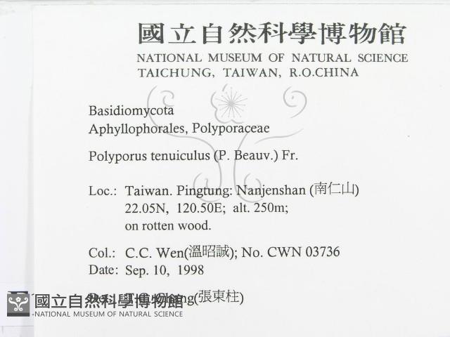 登錄號:F0012505藏品圖，第2張