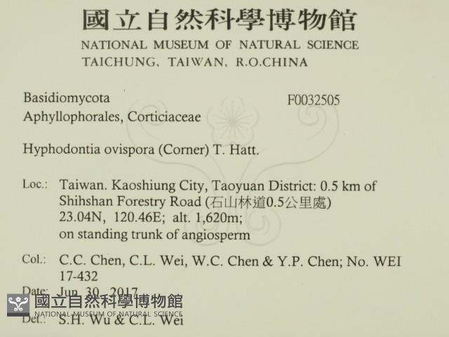 登錄號:F0032505藏品圖，第2張