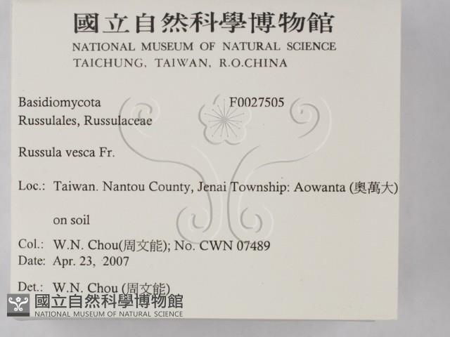 登錄號:F0027505藏品圖，第2張