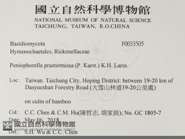 登錄號:F0033505藏品圖，第2張