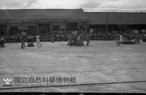 1950至2006年臺灣常民生活藏品圖，第1張