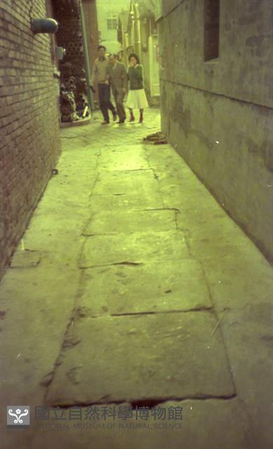 1950至2006年臺灣常民生活藏品圖，第1張