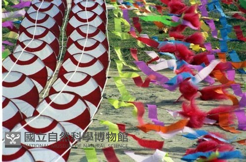1950至2006年臺灣常民生活藏品圖，第1張